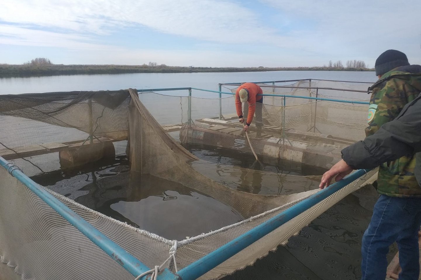 Усть-Каменогорск и ВКО / Где выращивают молодь рыбы для компенсационного зарыбления водоемов ВКО