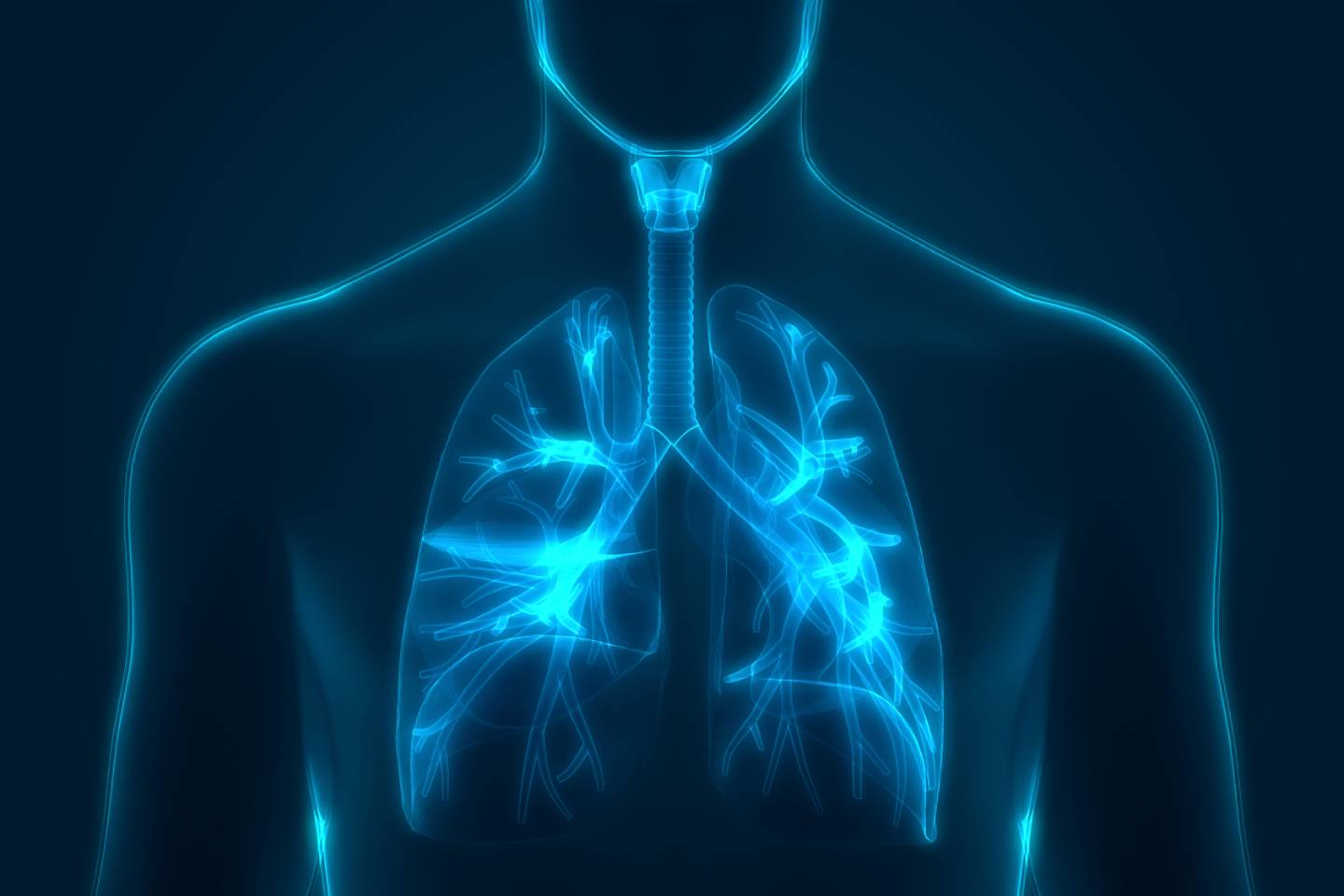 Новости мира / Интересные новости / Ученые разработали респиратор, способный очищать дыхательные пути человека
