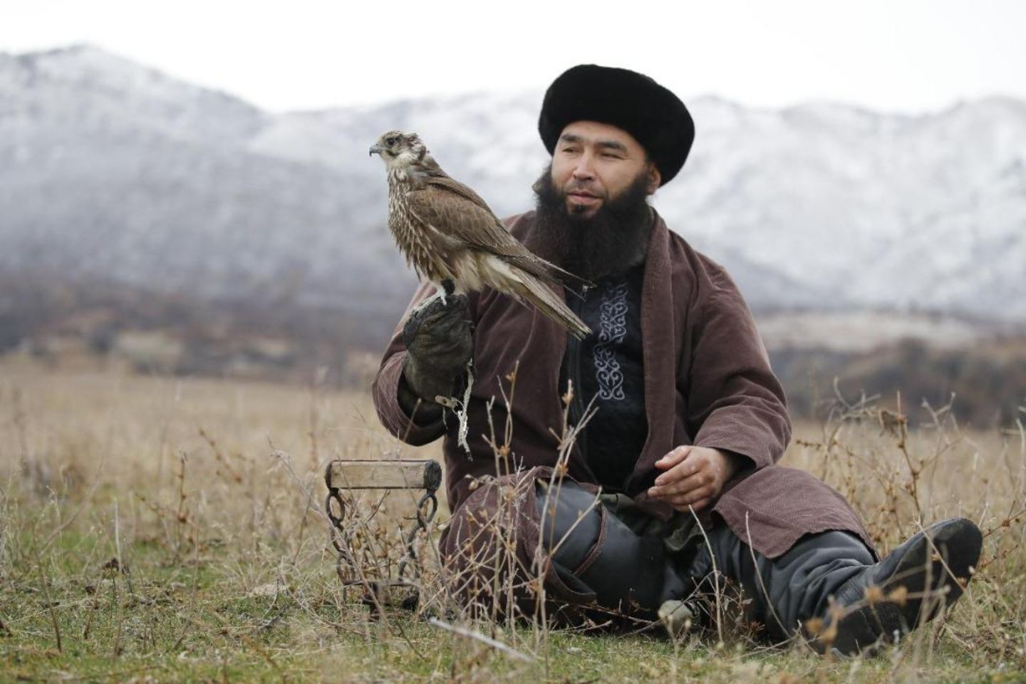 Новости Казахстана / Чемпионат Карагандинской области по охоте с ловчими птицами собрал 25 спортсменов