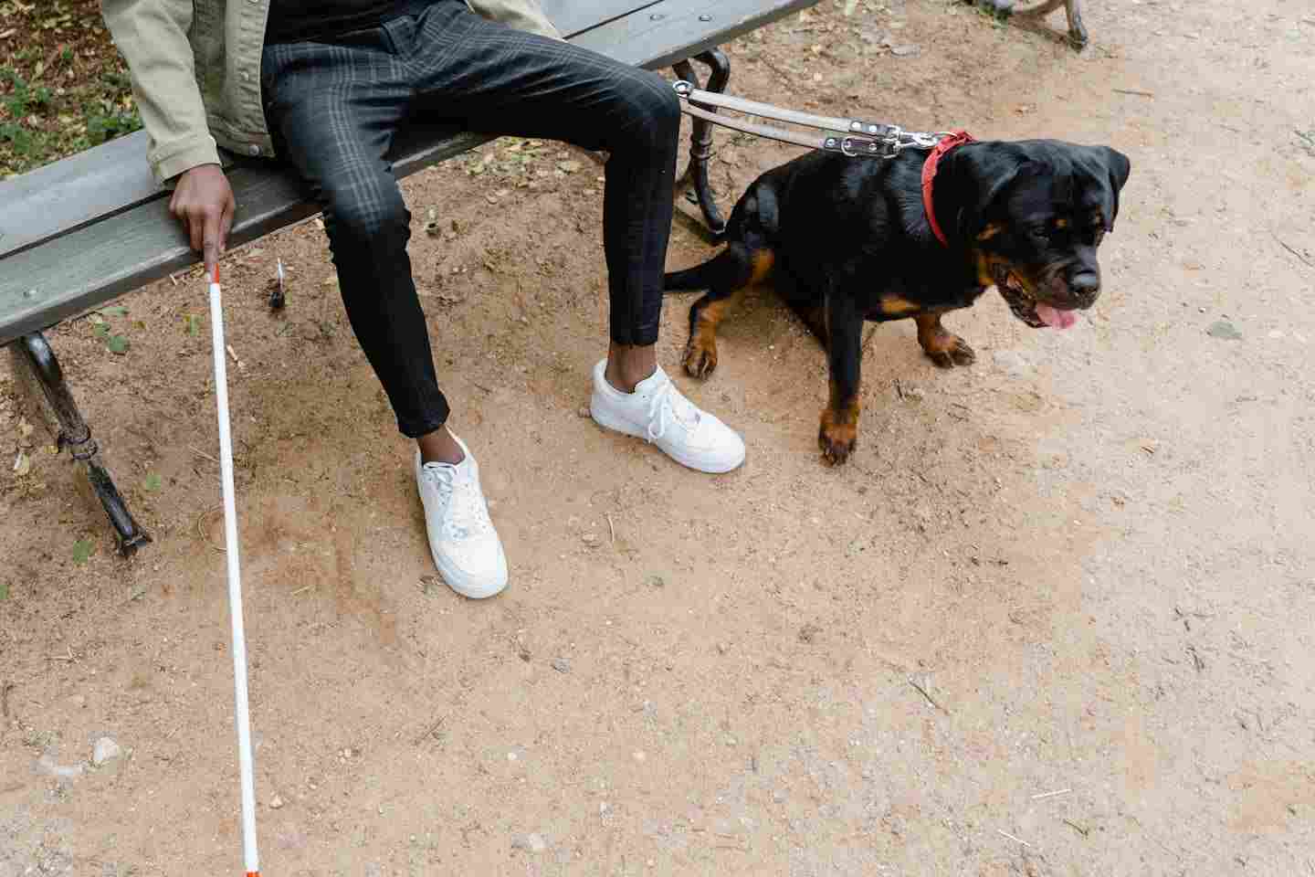 Новости мира / Интересные новости / 13 ноября: сегодня в истории Новости мира / Интересные новости / 13 ноября: сегодня в истории