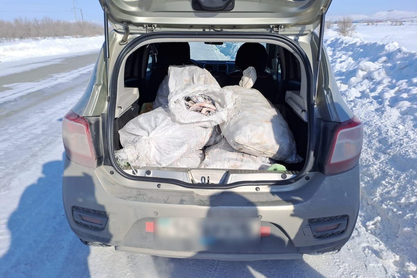 Усть-Каменогорск и ВКО / Житель ВКО, выловивший 134 килограмма рипуса, нанес ущерб почти на 1 млн тенге