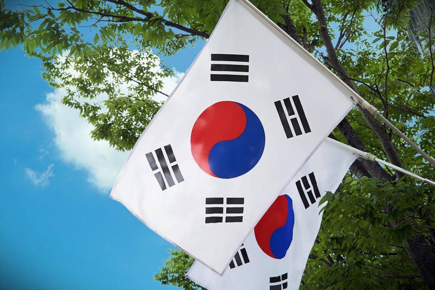 Новости мира / Интересные новости / Президент Южной Кореи призывает граждан всего мира объединиться