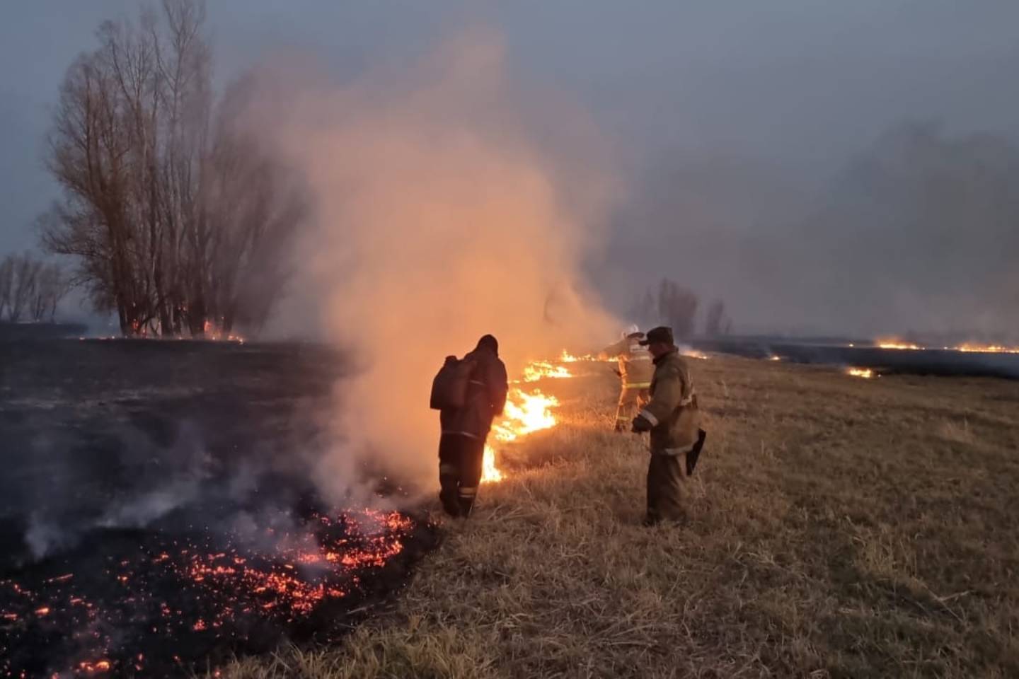 Происшествия в Казахстане и мире / Пожар в Герасимовке: пламя уже охватило 30 гектаров земли