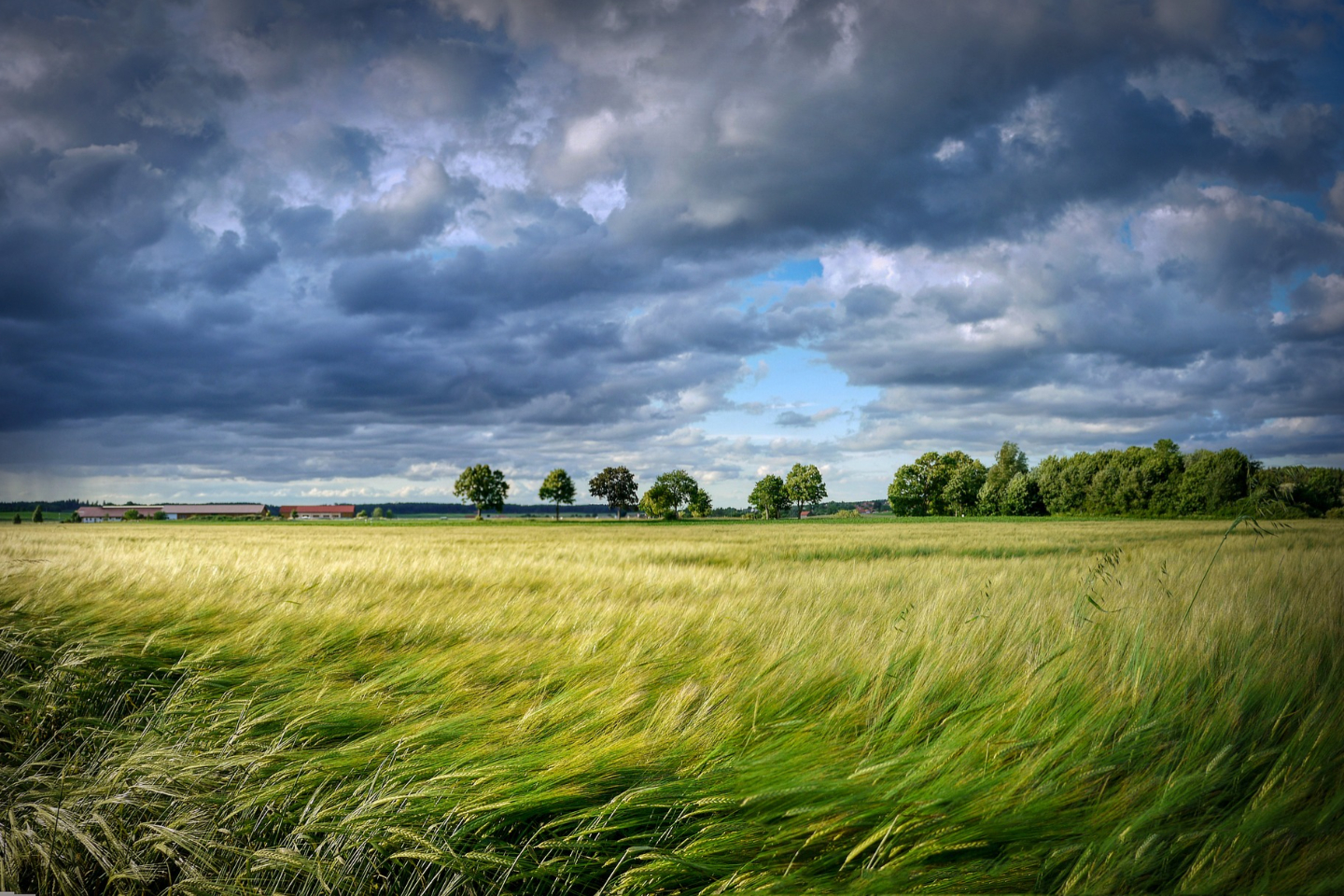 Происшествия в Казахстане и мире / Режим ЧС и оторванные кровли: стихия разбушевалась в Жамбылской области Происшествия в Казахстане и мире / Режим ЧС и оторванные кровли: стихия разбушевалась в Жамбылской области