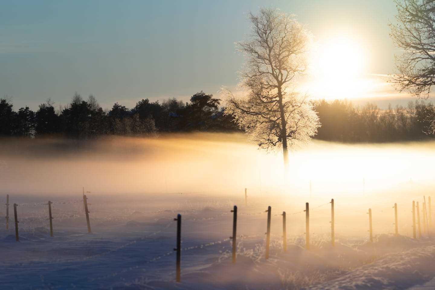 Новости Казахстана / Какая погода ожидает казахстанцев в ближайшие дни