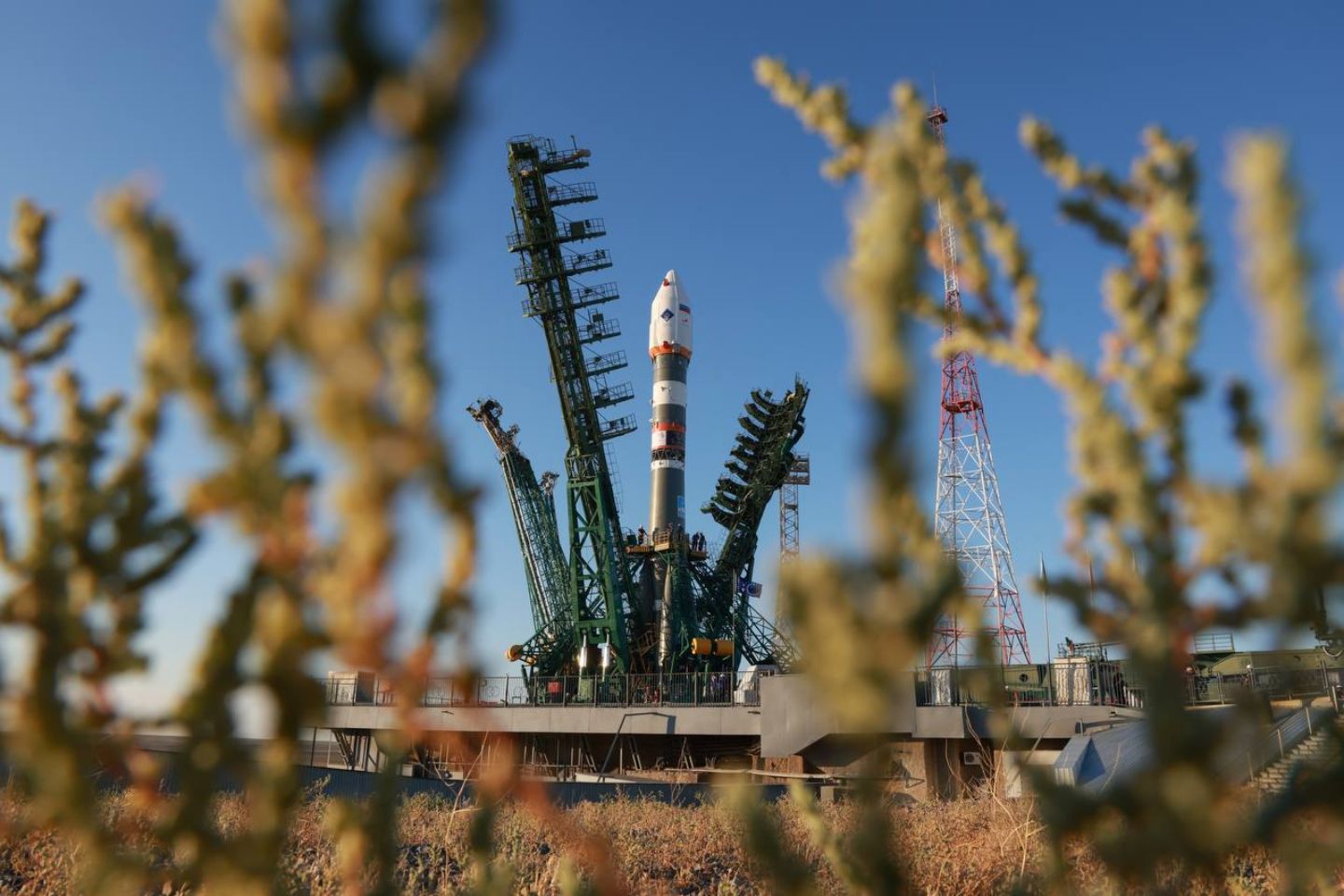Новости мира / "Союз-2.1б" выведет на орбиту биоспутник с животными и микроорганизмами
