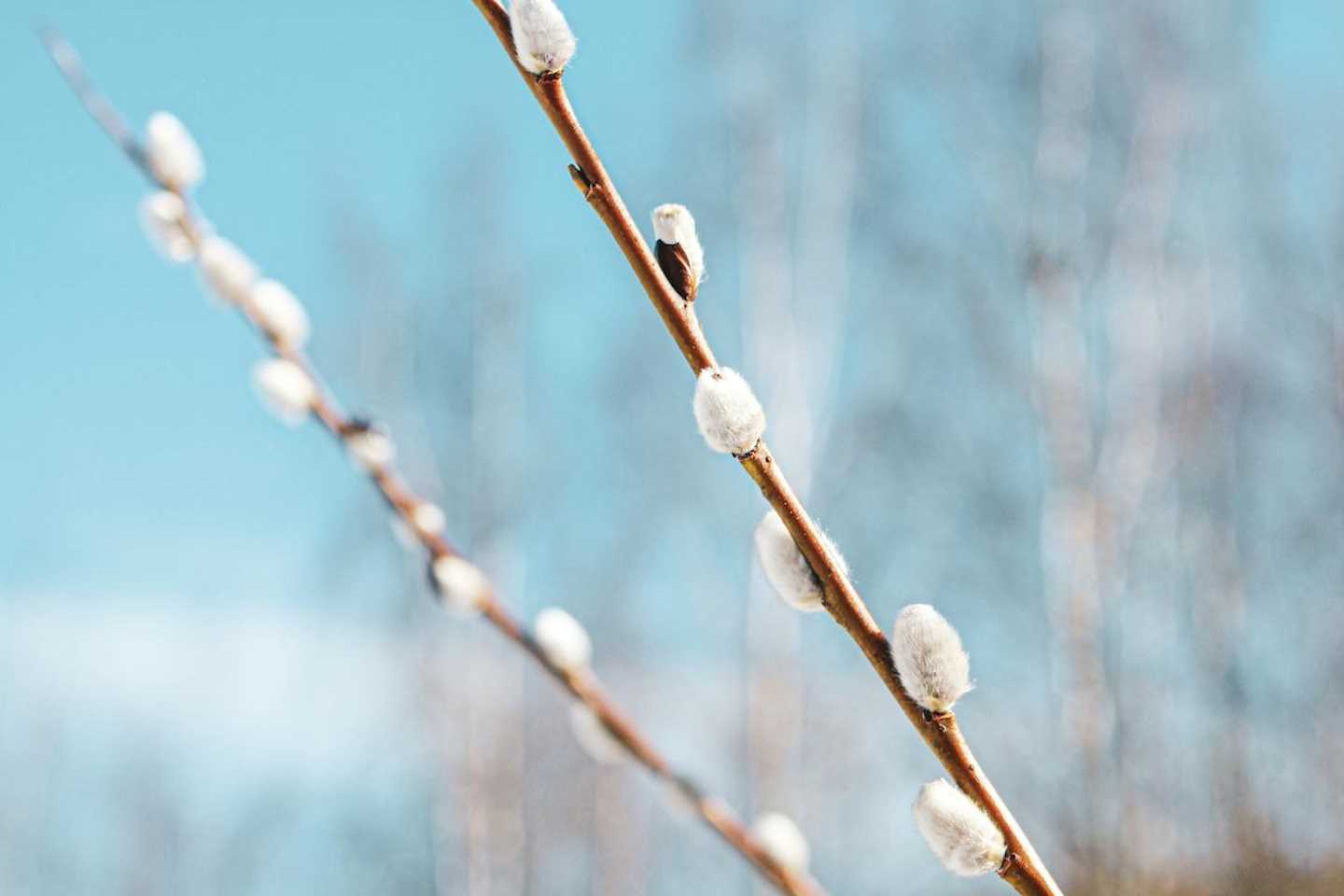 Новости Казахстана / Какая погода ожидает казахстанцев в ближайшие дни Новости Казахстана / Какая погода ожидает казахстанцев в ближайшие дни