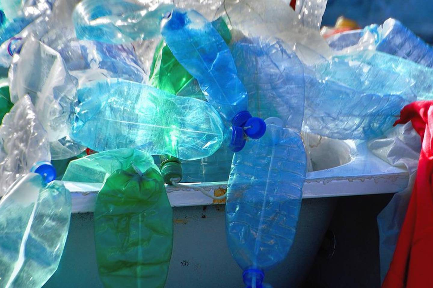 Новости мира / Интересные новости / Нет пластику: в столице ОАЭ запретили использовать полиэтиленовые пакеты