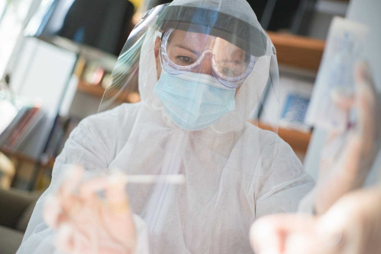 Новости мира / Интересные новости / Опасность пандемии вируса Нипах оценили эпидемиологи