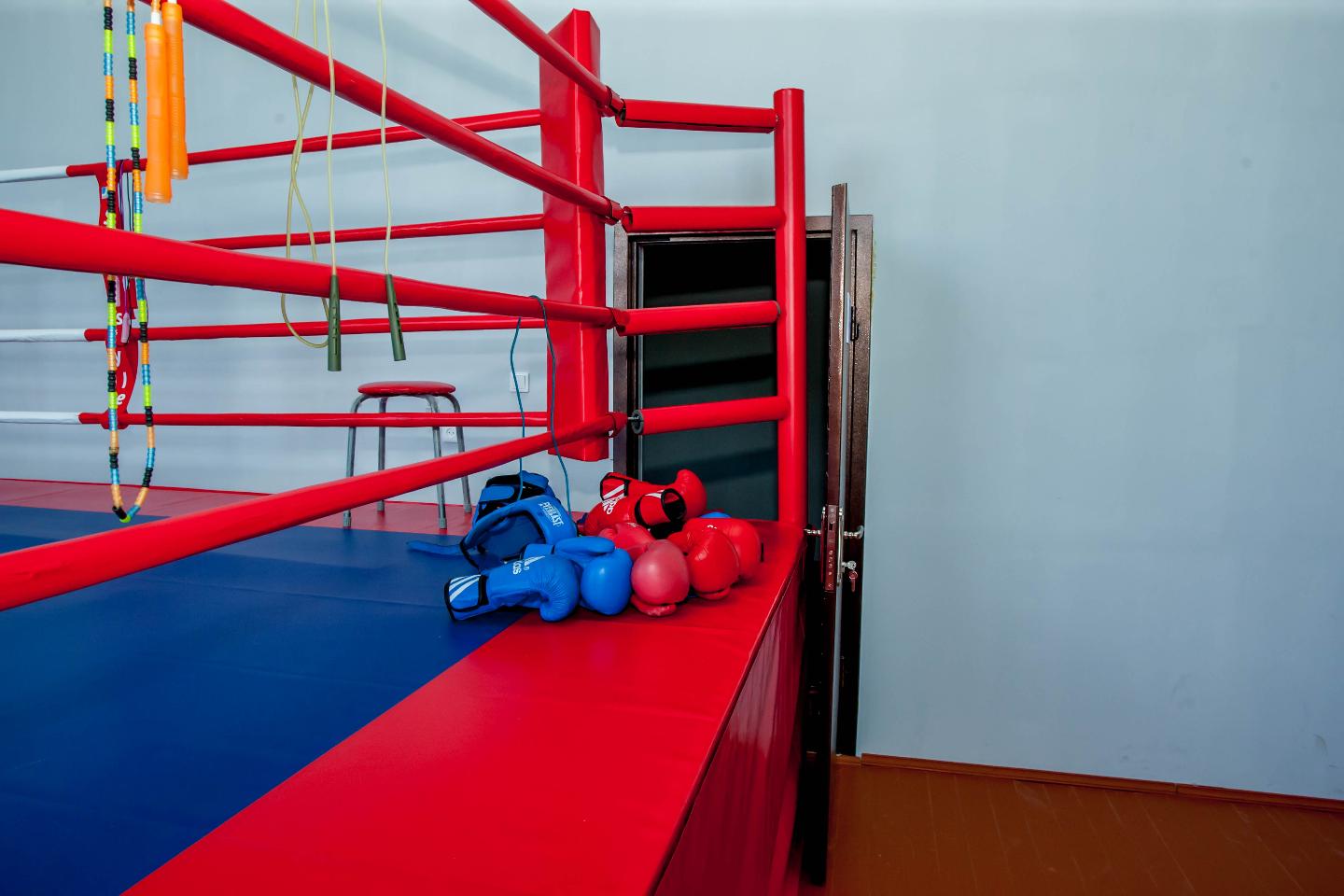 Новости Казахстана / Балалар спортын қаржыландыру екі есеге жуық артады Новости Казахстана / Балалар спортын қаржыландыру екі есеге жуық артады