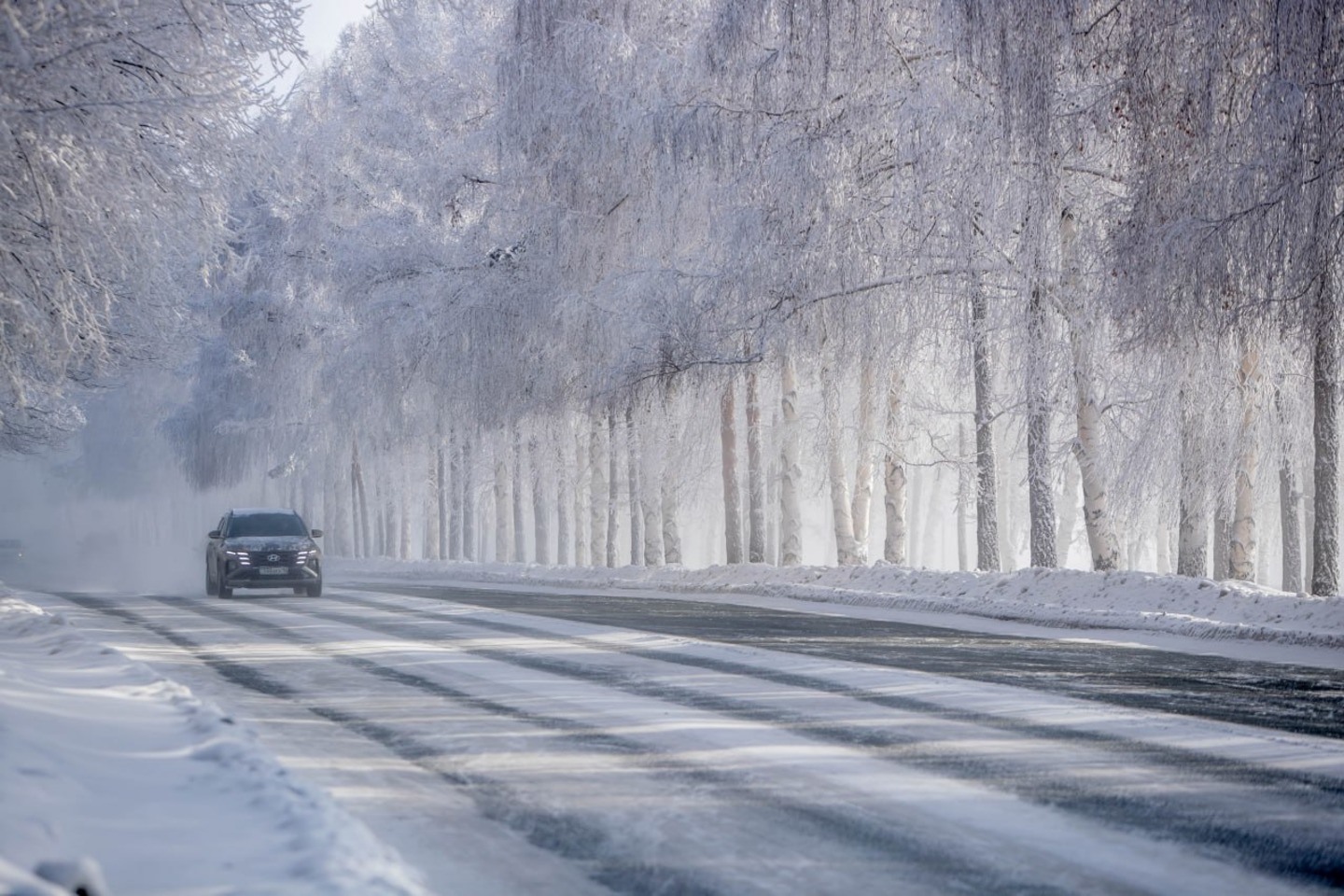 Усть-Каменогорск и ВКО / ШҚО-да ертең қар жауып, бұрқасын соғады