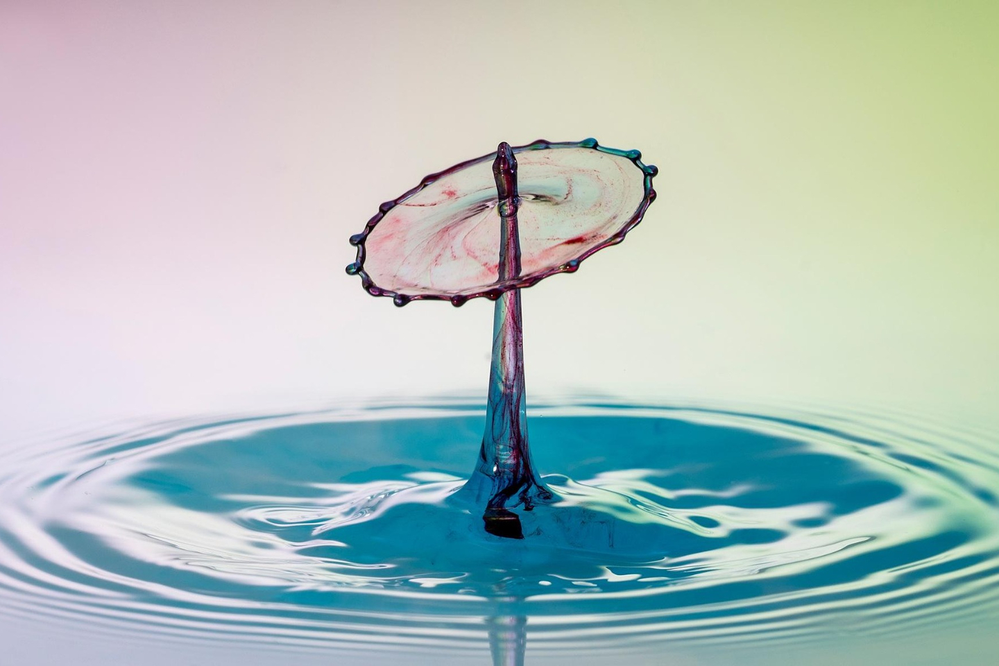 Новости Казахстана / Общество в Казахстане / Казахстанские ученые учатся добывать электроэнергию из окружающей среды