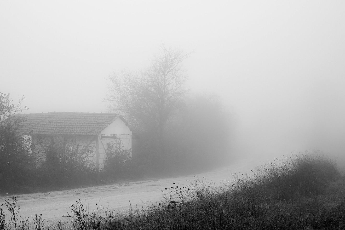 Усть-Каменогорск и ВКО / Ертең өскемендіктерге далада көп жүрмеген жөн Усть-Каменогорск и ВКО / Ертең өскемендіктерге далада көп жүрмеген жөн