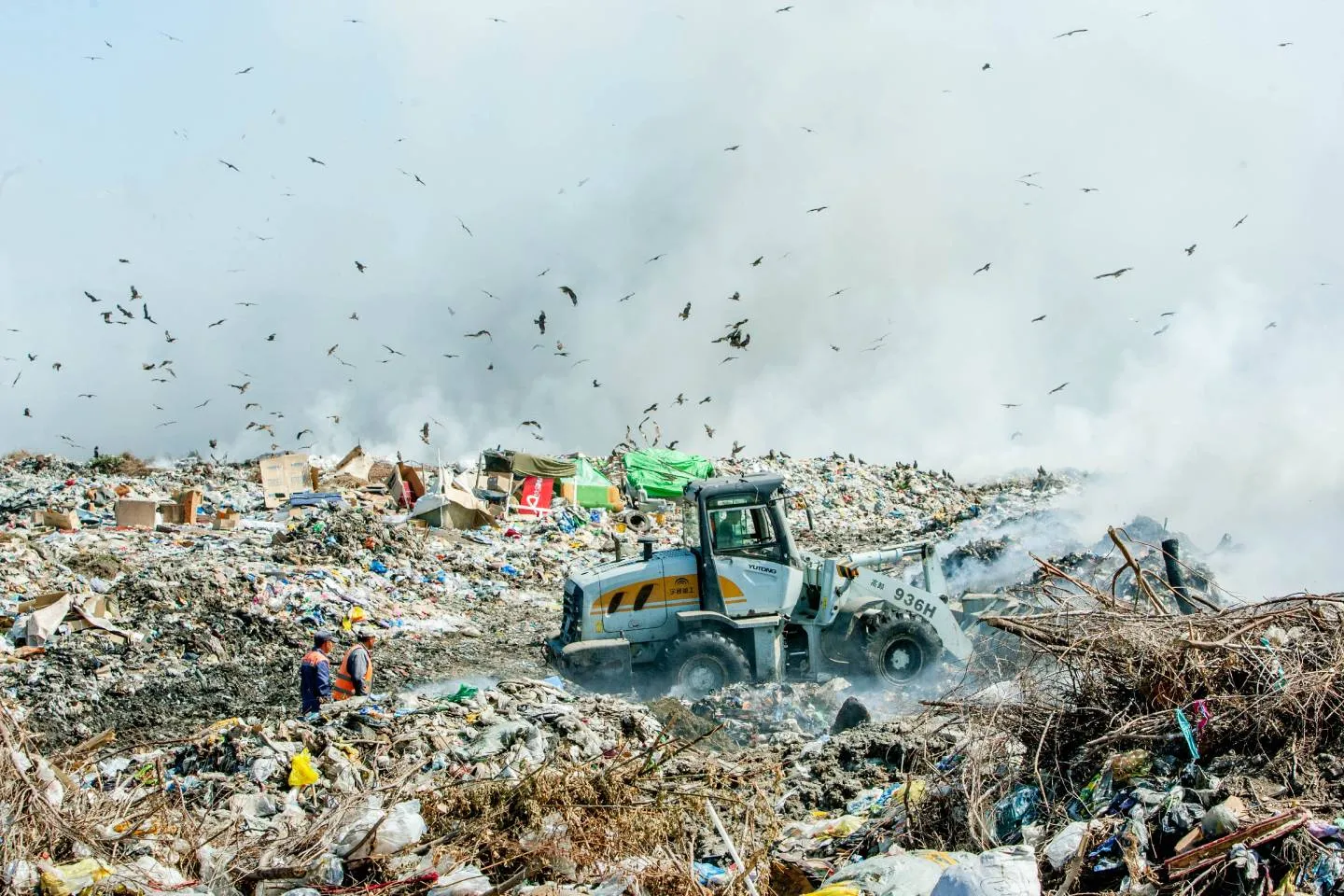 Новости Казахстана / Общество в Казахстане / Десятки тонн отходов вывозят каждую неделю с пляжей Капчагая