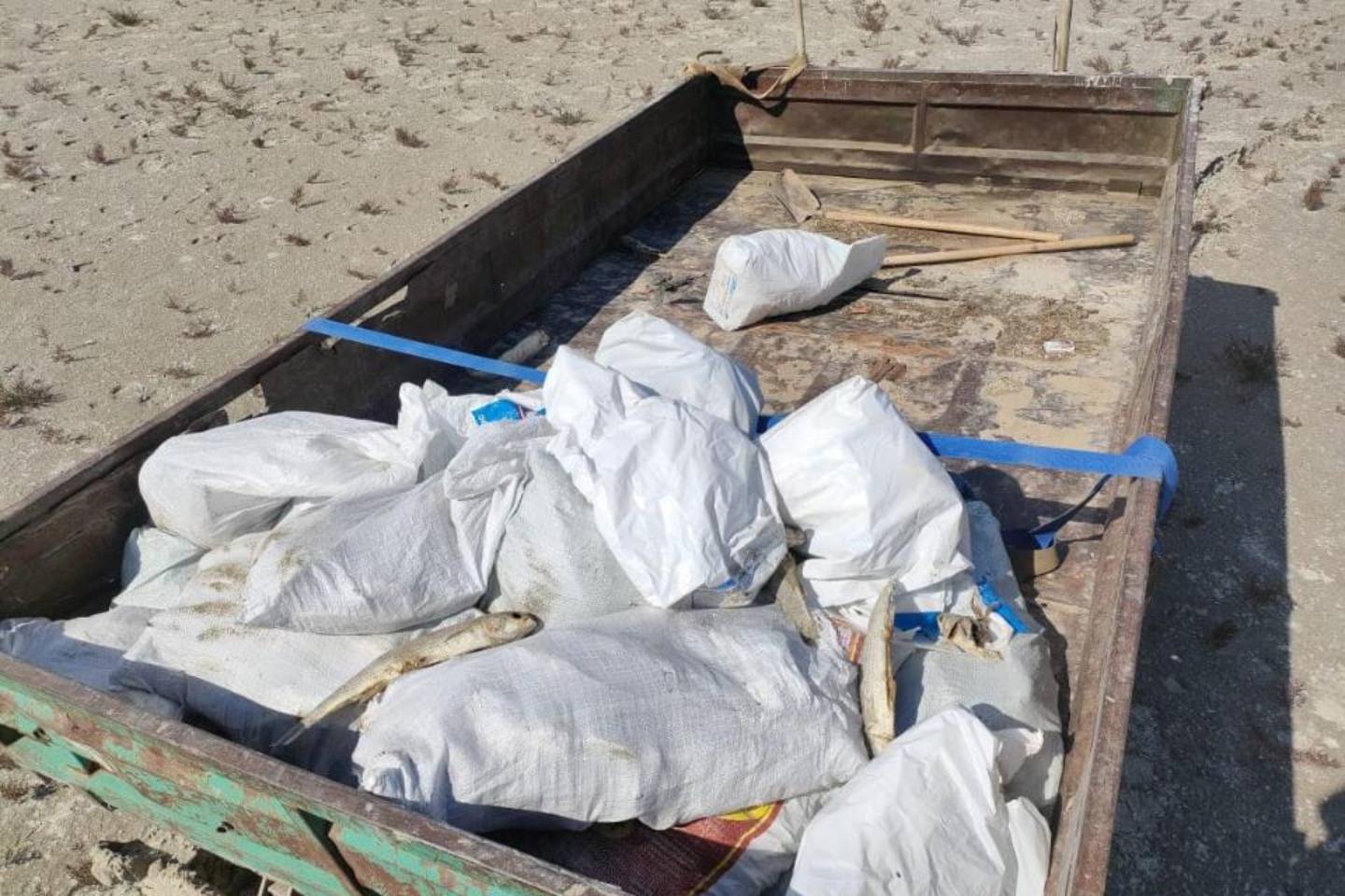 Происшествия в Казахстане и мире / На Каспийском море обнаружили почти полторы тонны мертвой кефали