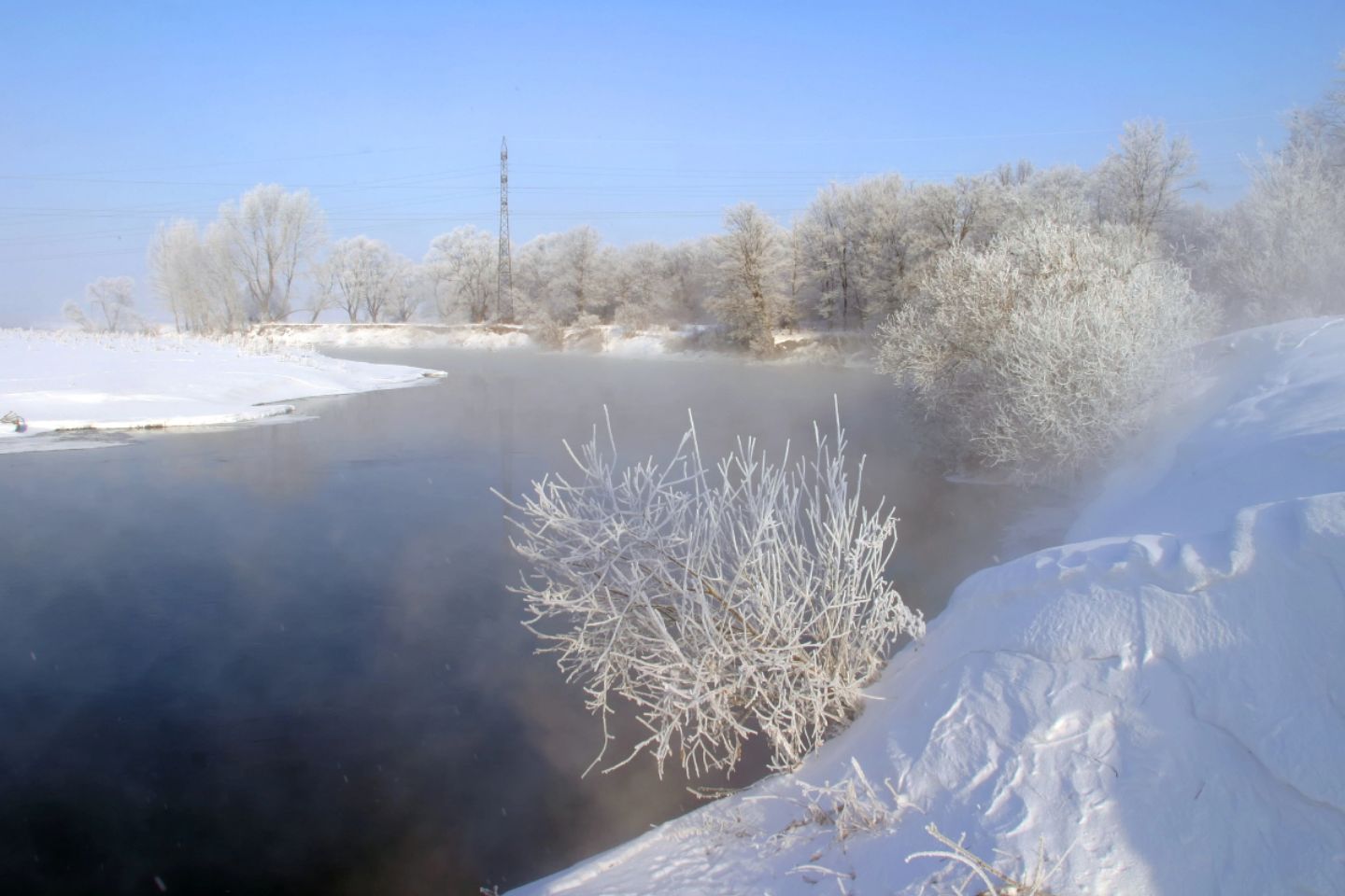 Новости мира / К поискам пропавших в Звенигороде детей подключили самолет