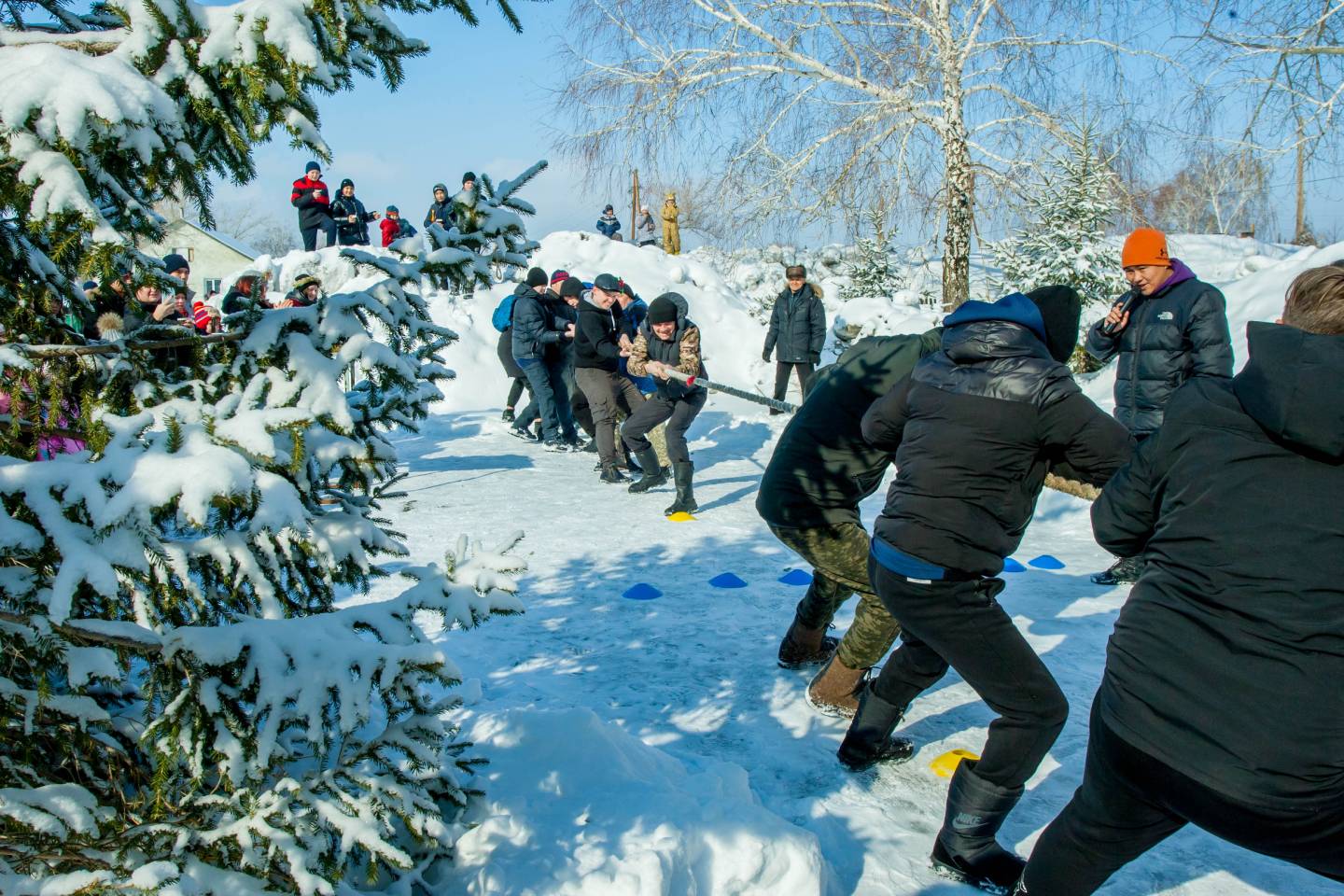 Новости мира / Интересные новости / Дженнифер Лоуренс может получить очередной "Оскар"