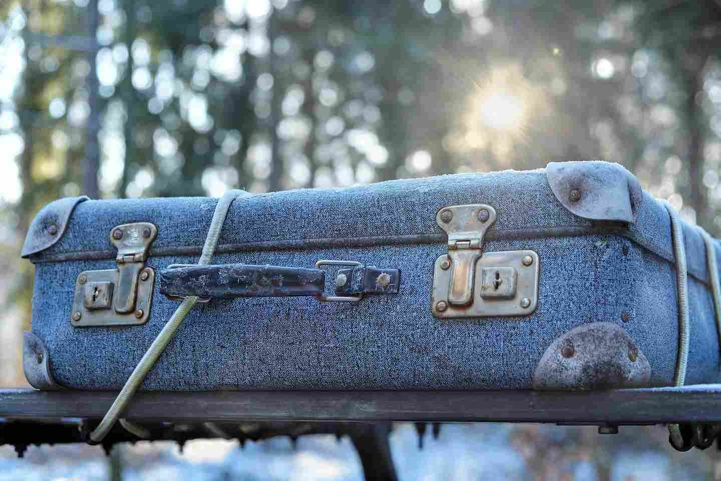 Новости Казахстана / Общество в Казахстане / Больше 5 тысяч человек переселились в Казахстане за 2025 год Новости Казахстана / Общество в Казахстане / Больше 5 тысяч человек переселились в Казахстане за 2025 год