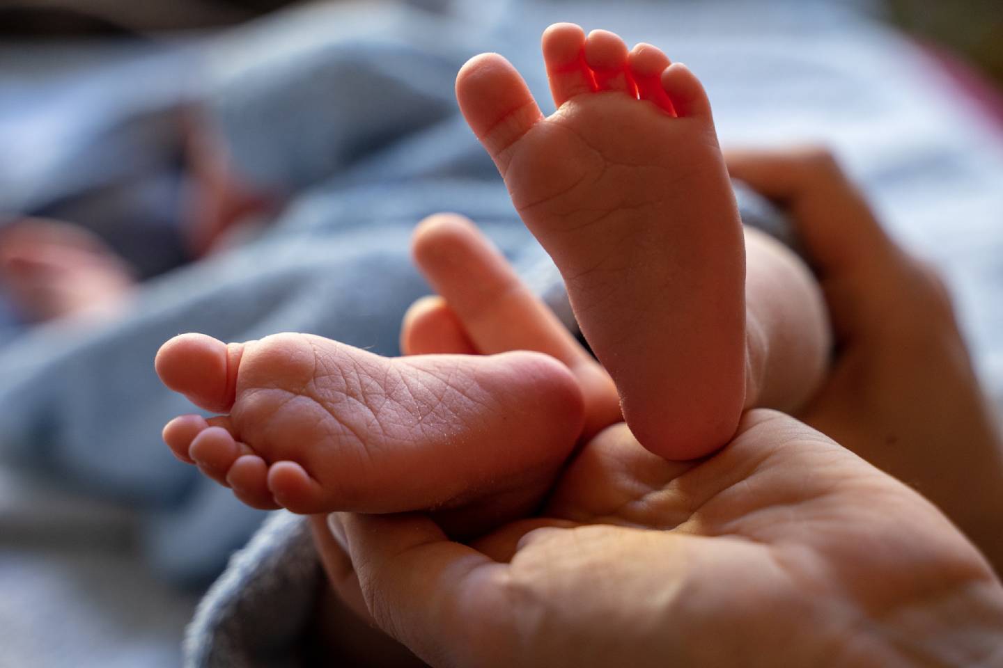 Новости мира / Интересные новости / Ученые сообщили об интересном факте про младенцев