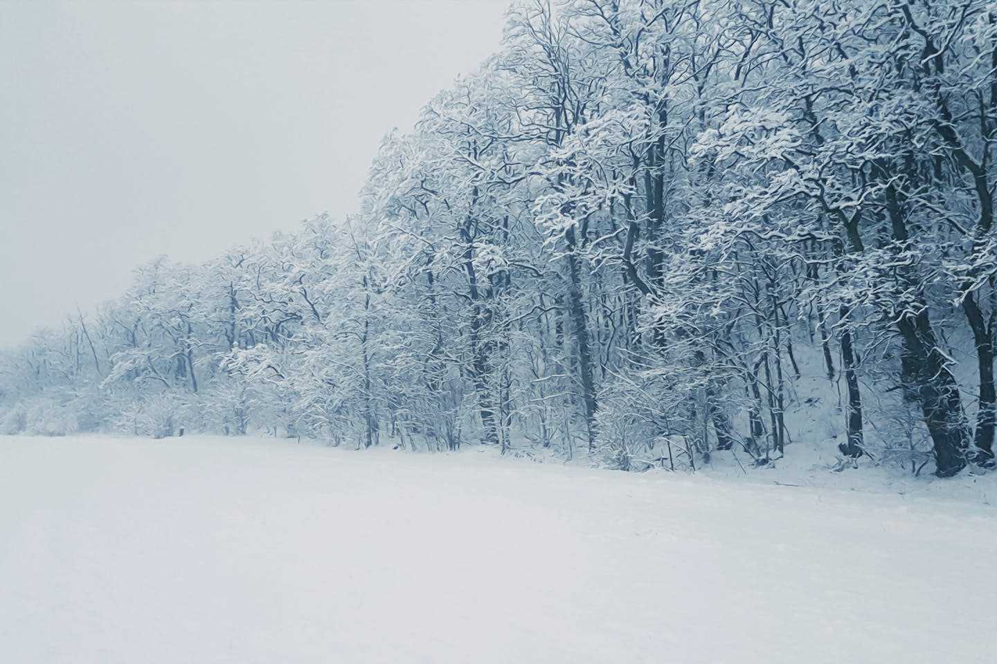 Новости Казахстана / Какая погода ожидает казахстанцев в ближайшие дни
