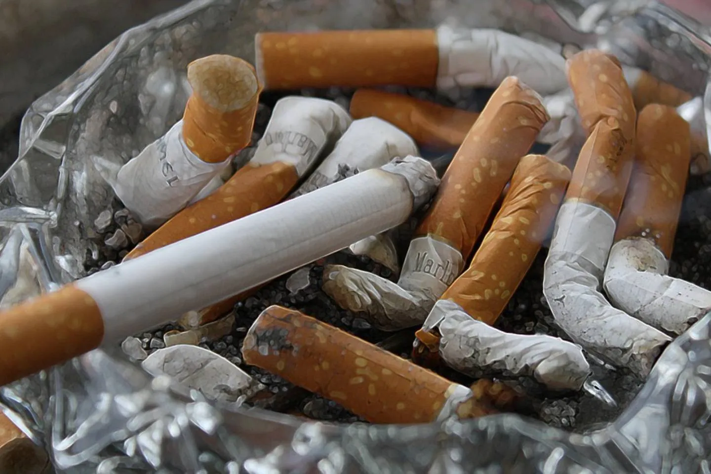 Новости мира / Интересные новости / В Новой Зеландии некоторым гражданам навсегда запретили продавать сигареты