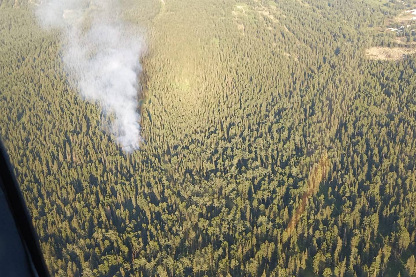 Усть-Каменогорск и ВКО / Пламя вспыхнуло на территории государственного природного заповедника ВКО