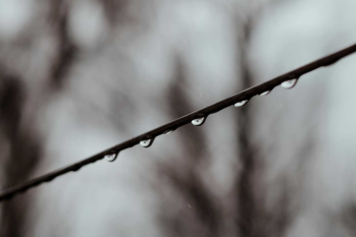 Новости Казахстана / Какая погода ожидает казахстанцев в эти выходные Новости Казахстана / Какая погода ожидает казахстанцев в эти выходные