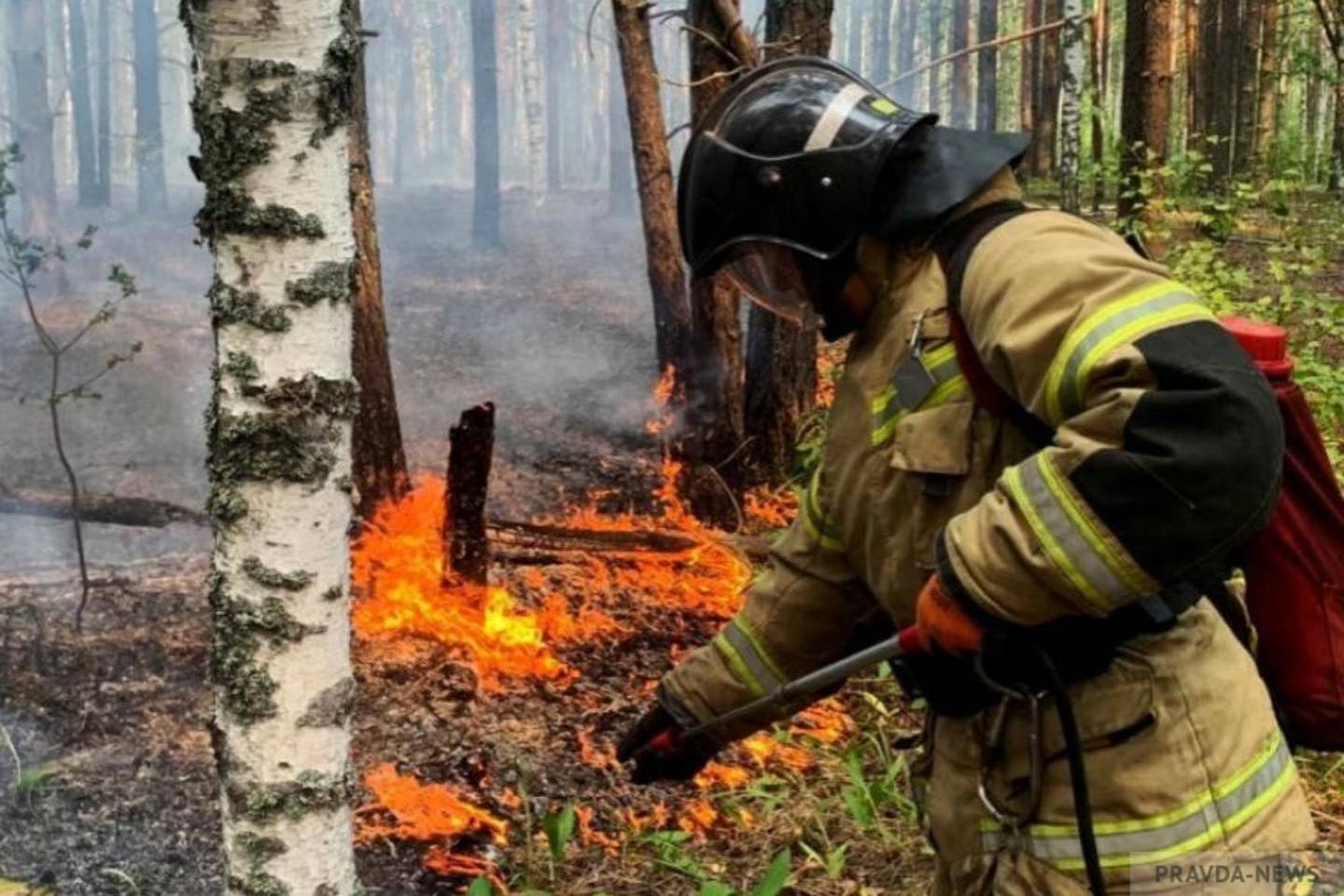 Новости Казахстана / Общество в Казахстане / 5 класс пожароопасности объявили в одном из районов ВКО