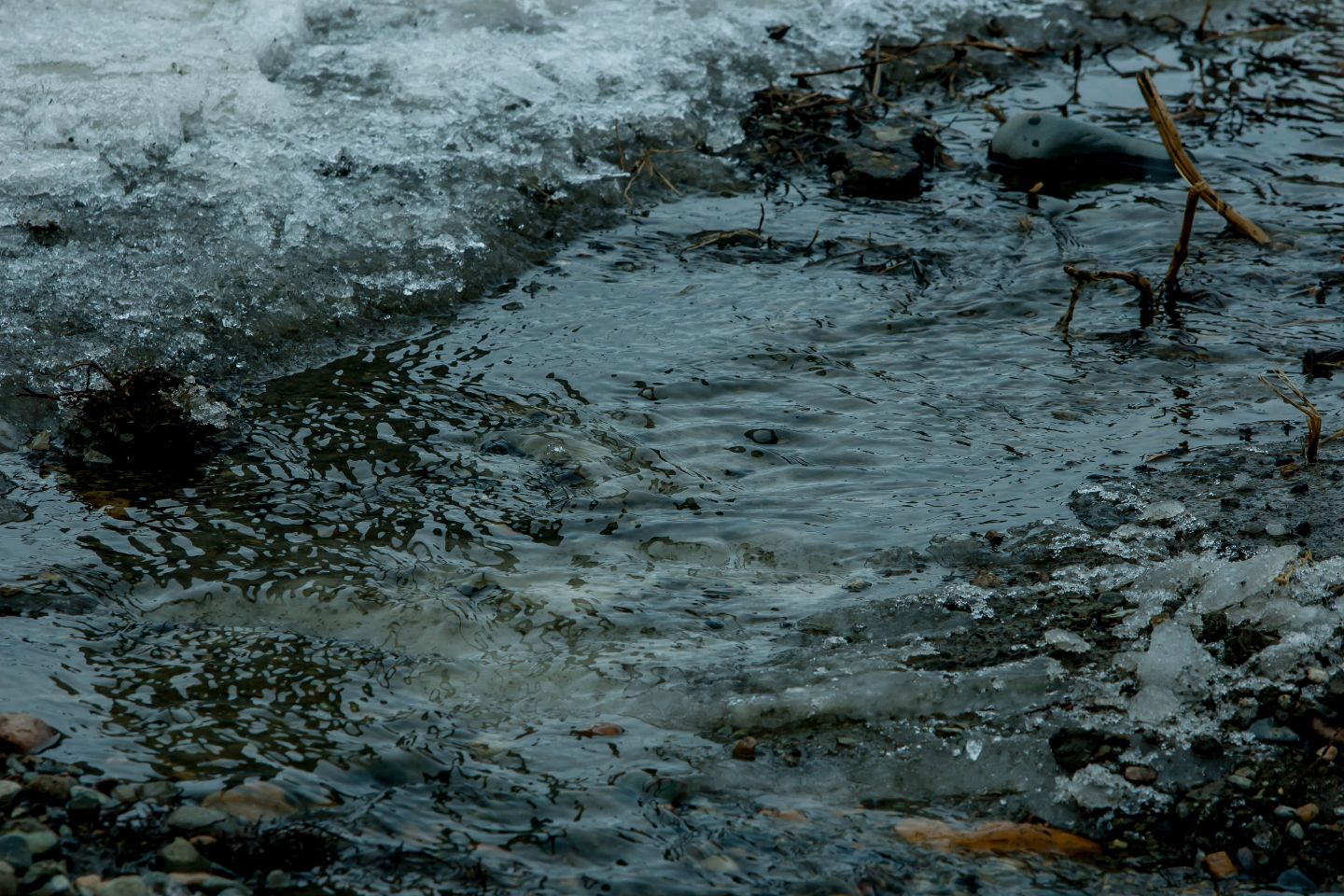 Усть-Каменогорск и ВКО / Паводки-2026: в Восточном Казахстане ремонтируют дамбы и очищают русла рек