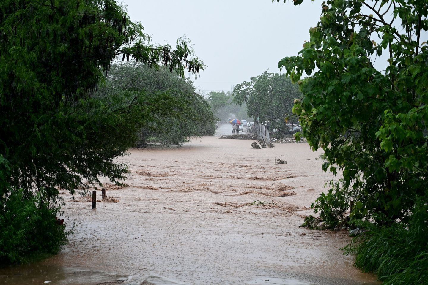 Новости мира / Утренняя панорама мировых новостей за 20 ноября