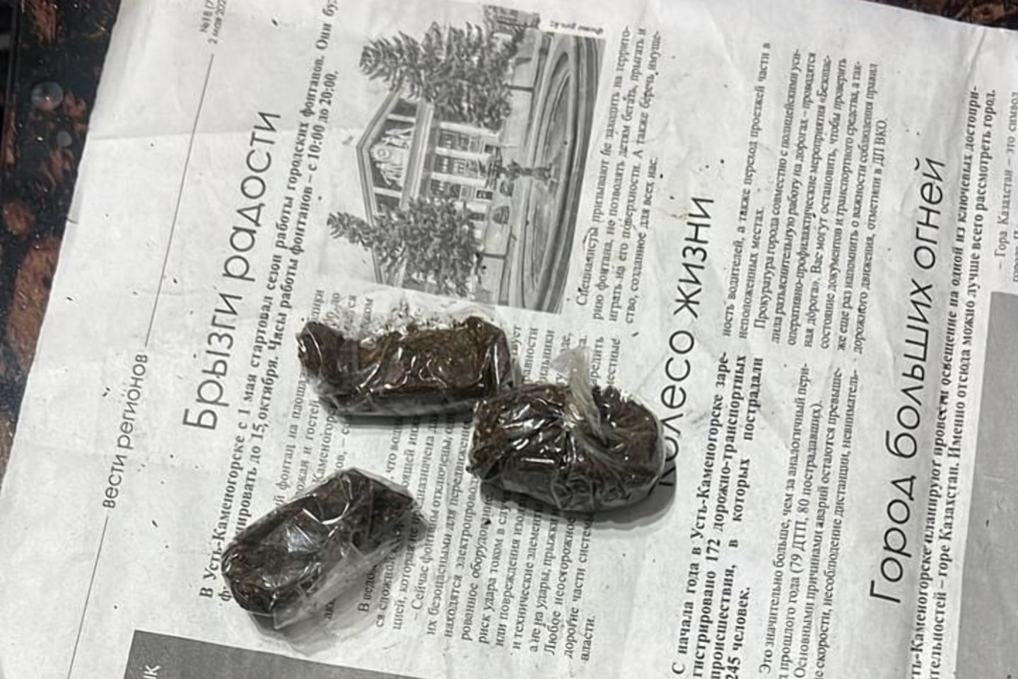 Усть-Каменогорск и ВКО / У двоих жителей Риддера изъяли более килограмма марихуаны