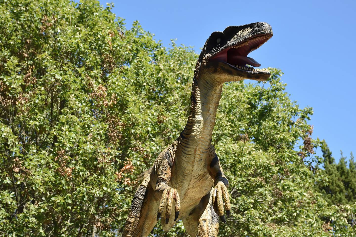 Новости мира / Интересные новости / Китайские строители обнаружили яйца динозавров