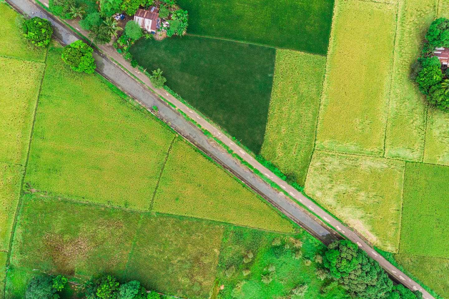 Новости Казахстана / Общество в Казахстане / Нарушения в сфере земельных отношений выявили в Алматинской области