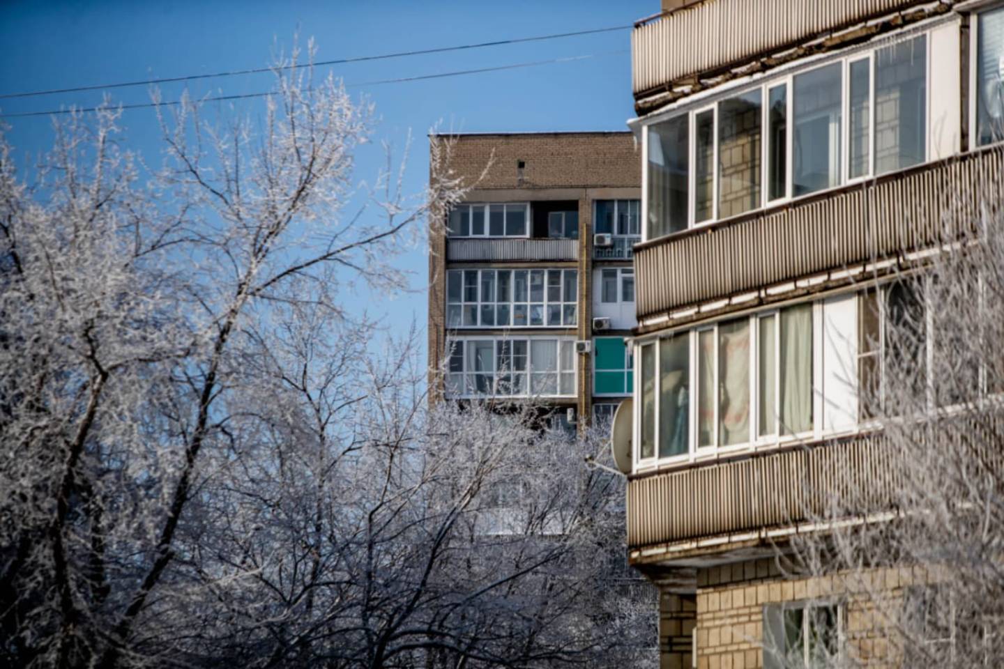 Усть-Каменогорск и ВКО / Жителей Восточного Казахстана просят не выходить из дома