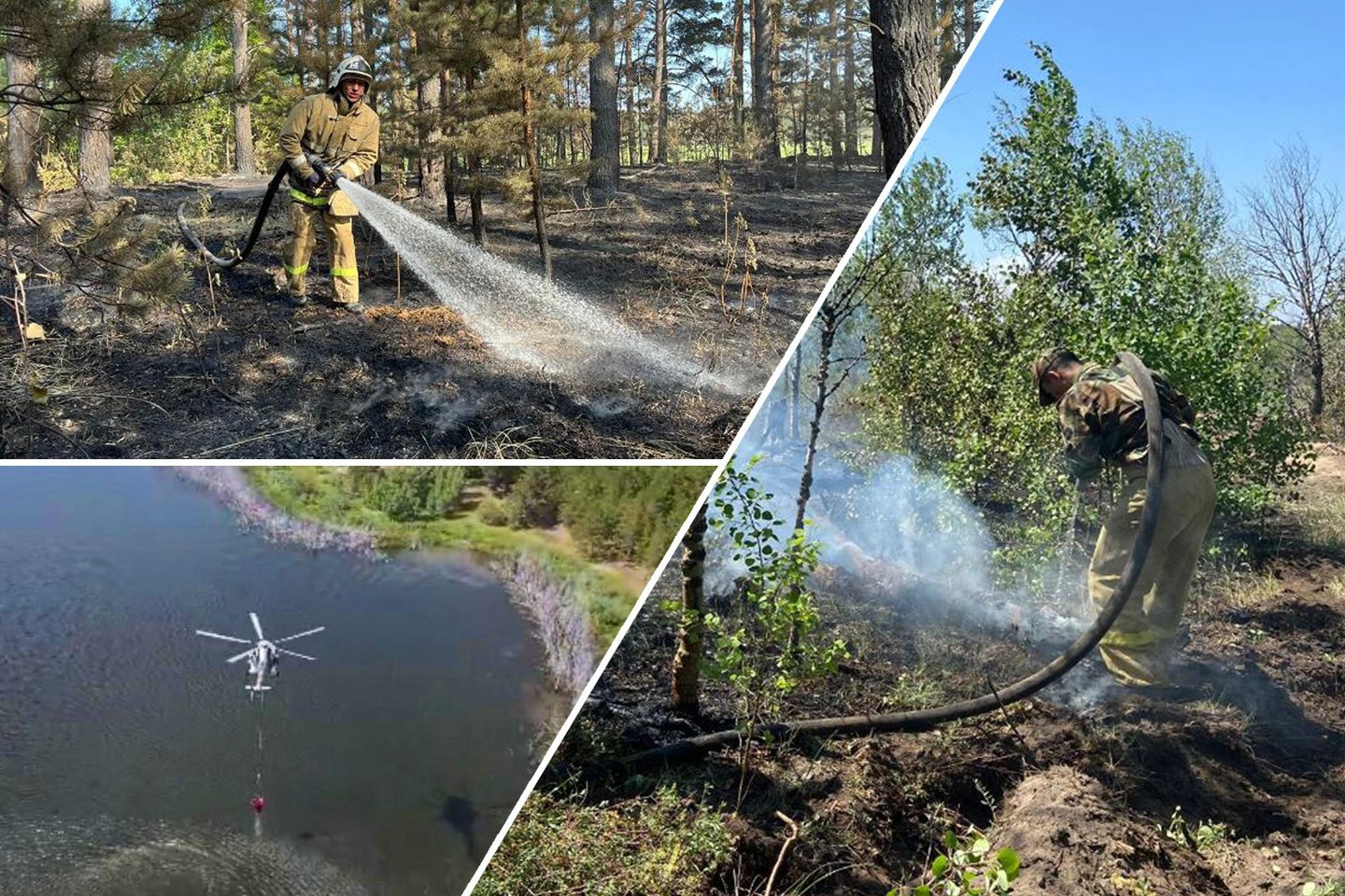 Происшествия в Казахстане и мире / Лесной пожар удалось локализовать в Абайской области