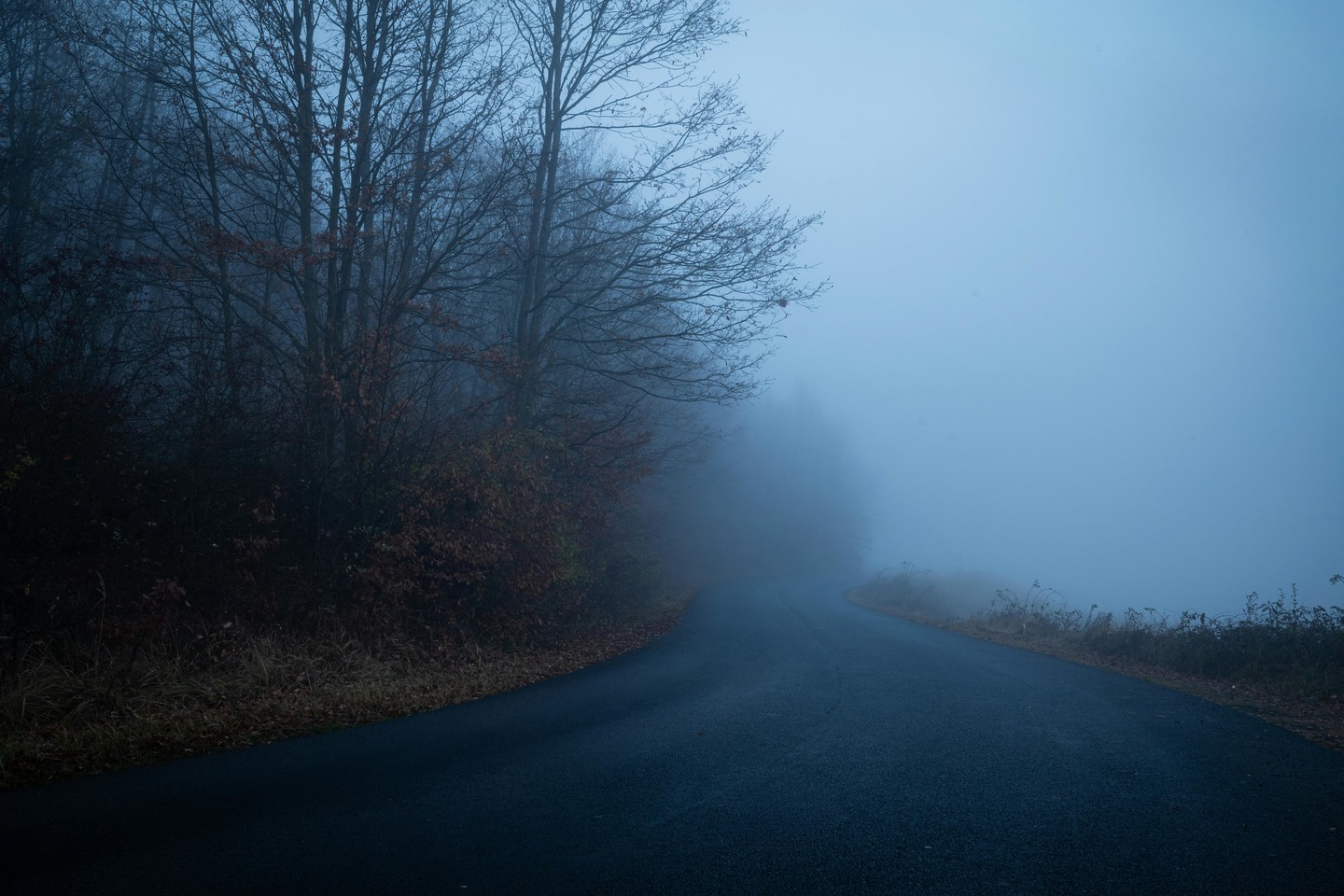 Усть-Каменогорск и ВКО / ШҚО-да ертең күн тұманды болады Усть-Каменогорск и ВКО / ШҚО-да ертең күн тұманды болады