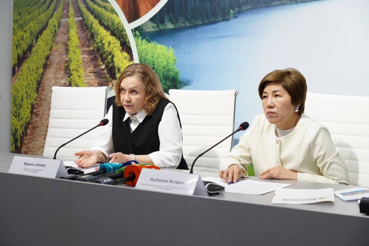 Новости Казахстана / Биыл елдің басым бөлігінде қыс қоңыржай жылы болады Новости Казахстана / Биыл елдің басым бөлігінде қыс қоңыржай жылы болады