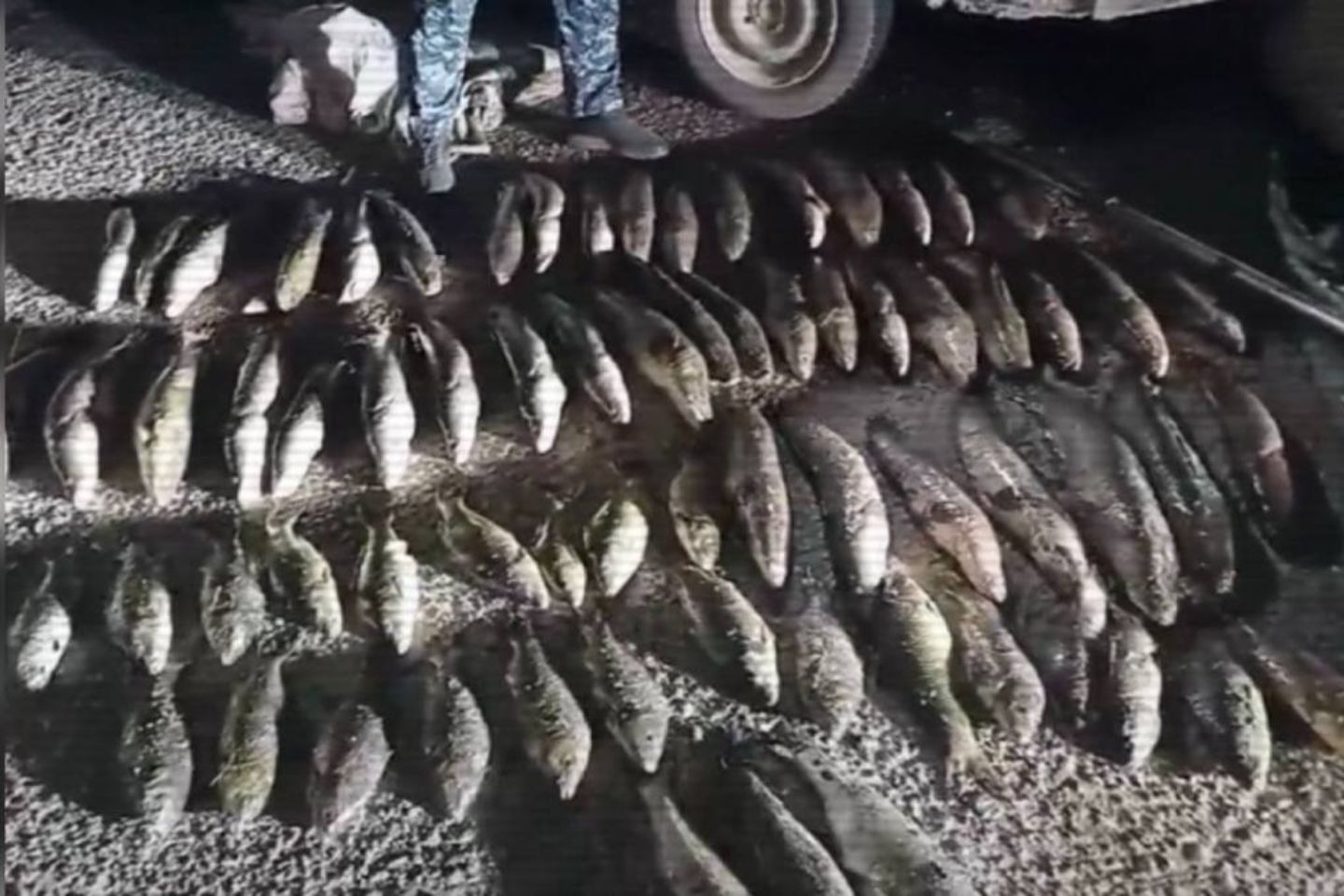 Новости Казахстана / В РК выявлено более 4000 нарушений природоохранного законодательства