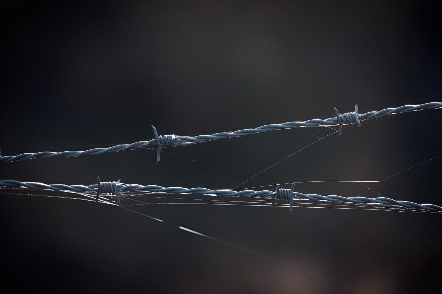 Новости Казахстана / КНБ не дал перевезти через границу Казахстана 276 боеприпасов