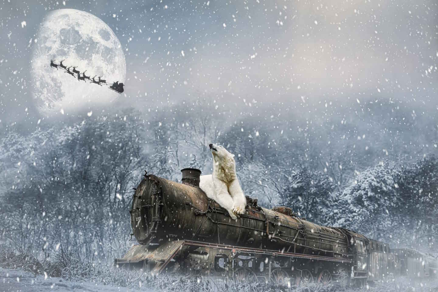Новости мира / Интересные новости / В России отправляется в путь поезд Деда Мороза