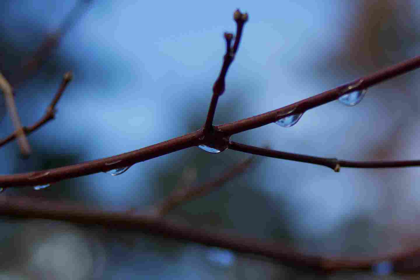 Новости Казахстана / Какая погода ожидает казахстанцев в эти выходные Новости Казахстана / Какая погода ожидает казахстанцев в эти выходные