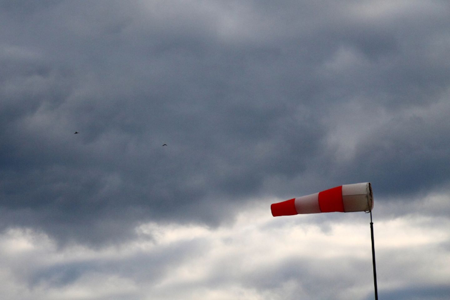 Усть-Каменогорск и ВКО / Штормовое предупреждение объявили в ВКО Усть-Каменогорск и ВКО / Штормовое предупреждение объявили в ВКО