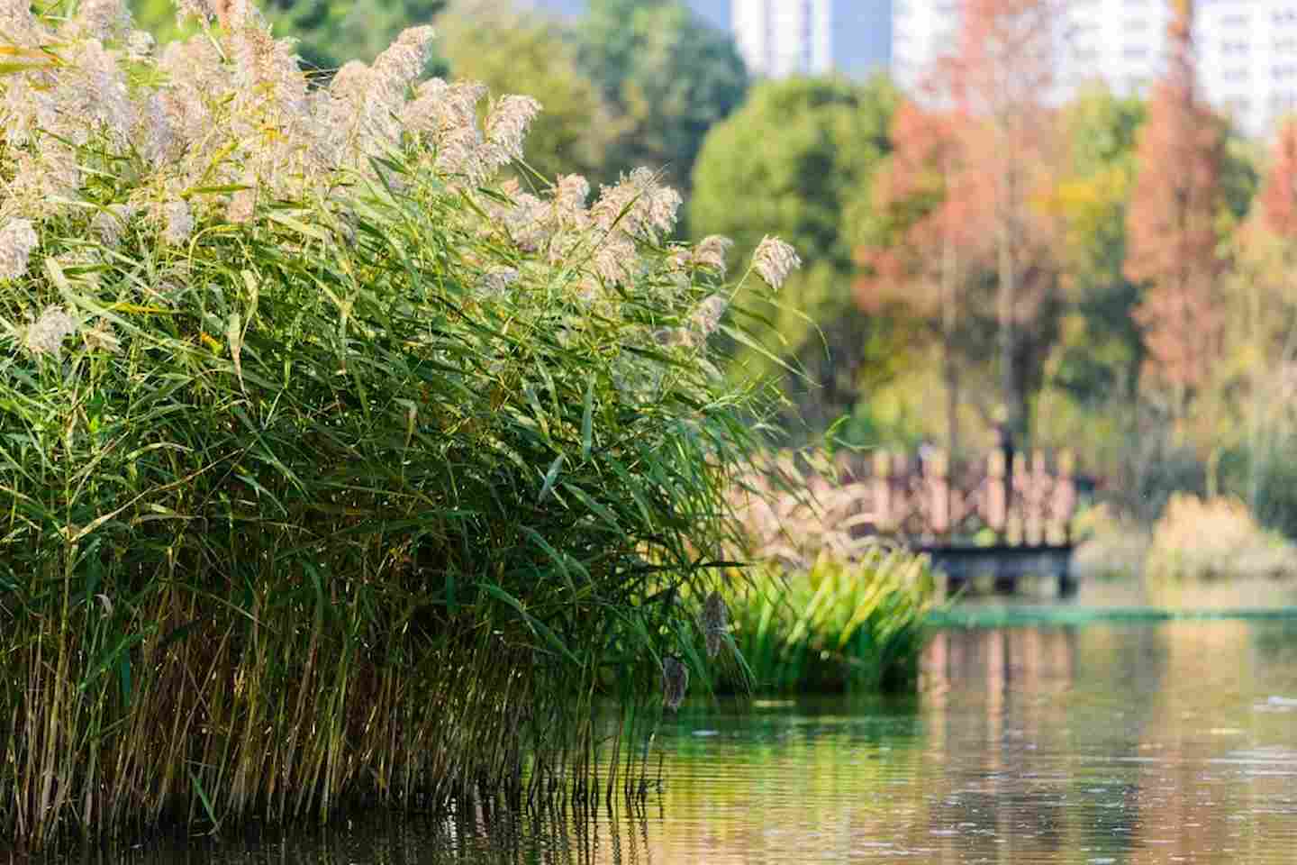 Новости Казахстана / Общество в Казахстане / Русло одной из рек Акомлинской области планируют расчистить и углубить Новости Казахстана / Общество в Казахстане / Русло одной из рек Акомлинской области планируют расчистить и углубить