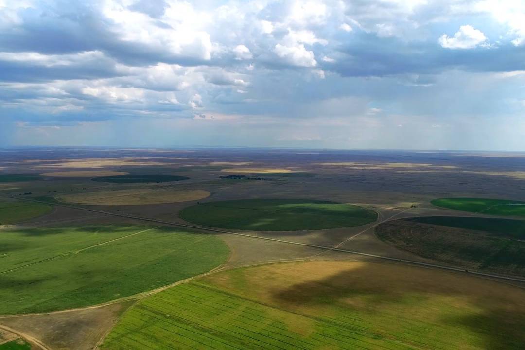 Новости Казахстана / Общество в Казахстане / В ВКО реализуют Программу развития растениеводства
