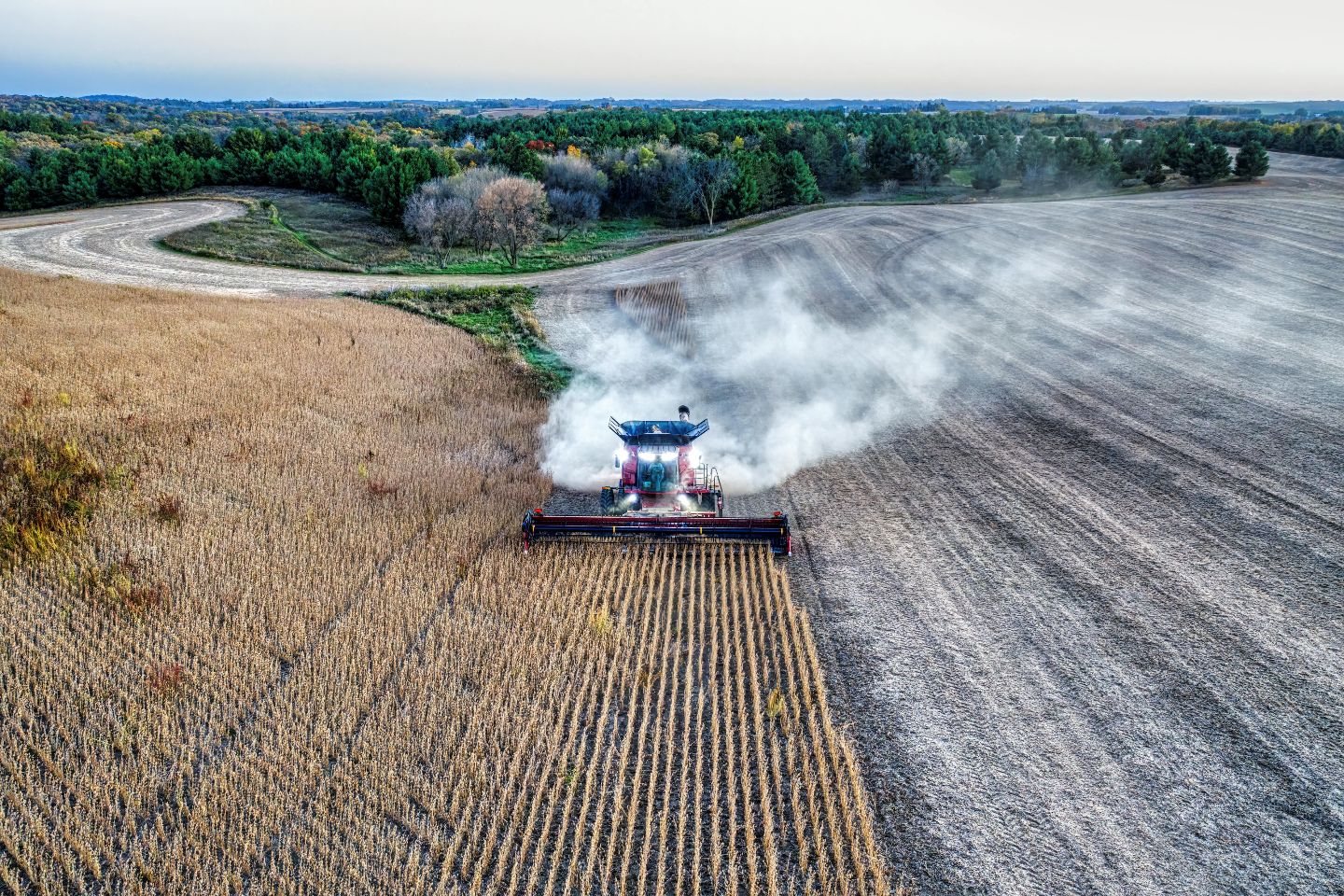 Усть-Каменогорск и ВКО / Фермеры района Алтай успешно закончили уборку урожая и подготовились к севу