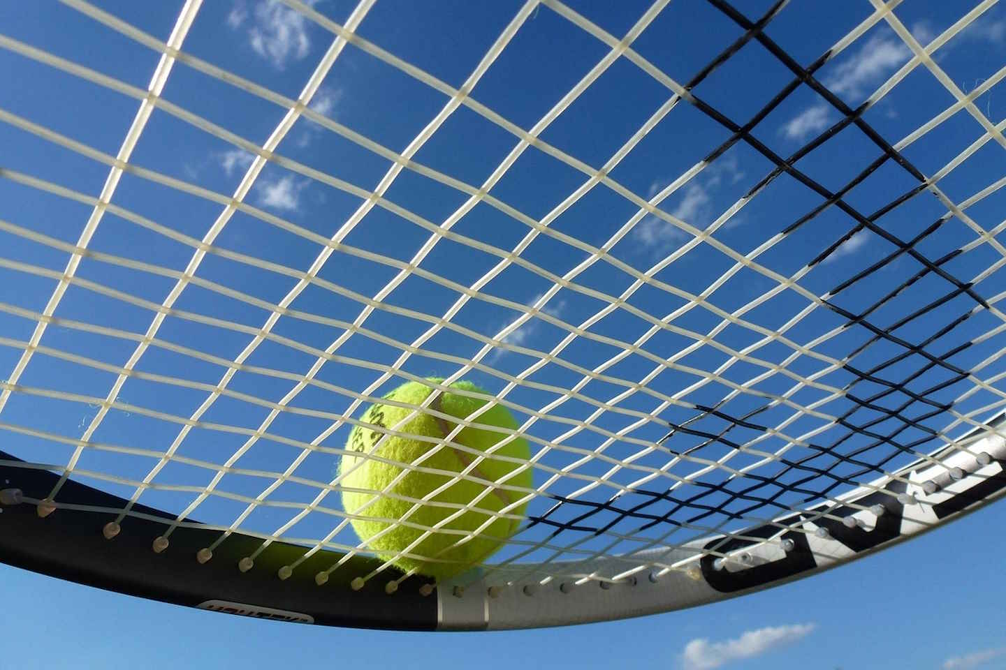 Новости спорта / Новости спорта в мире и Казахстане / Елена Рыбакина вышла в полуфинал турнира в ОАЭ Новости спорта / Новости спорта в мире и Казахстане / Елена Рыбакина вышла в полуфинал турнира в ОАЭ