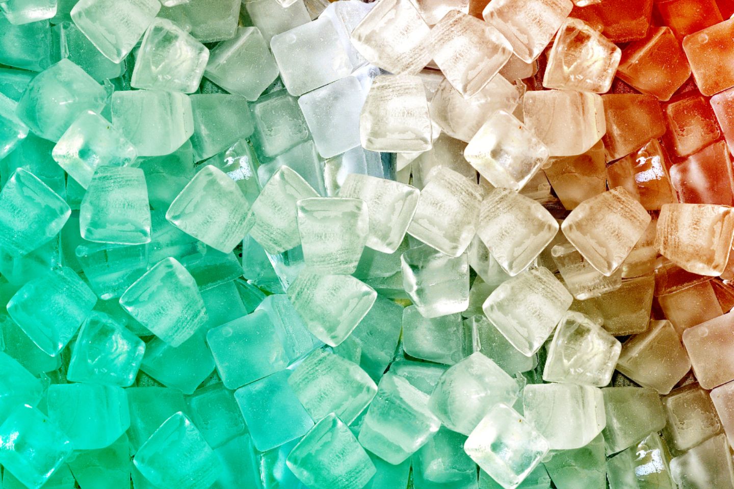 Новости Казахстана / В Алматы появится новое производство пищевого желатина и коллагена