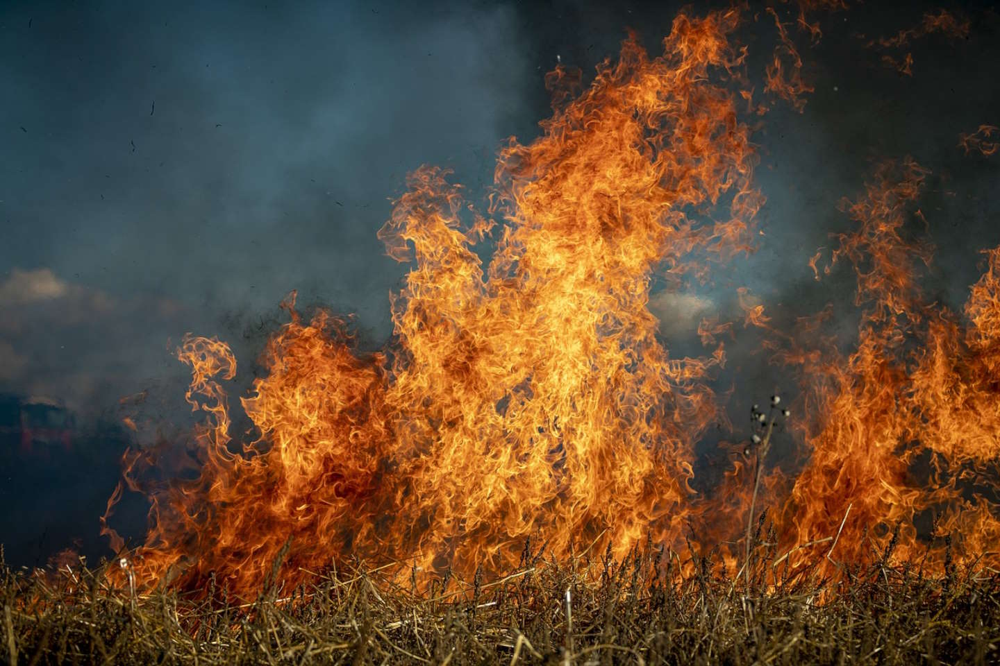 Происшествия в Казахстане и мире / Стихийные бедствия / В Испании продолжаются лесные пожары