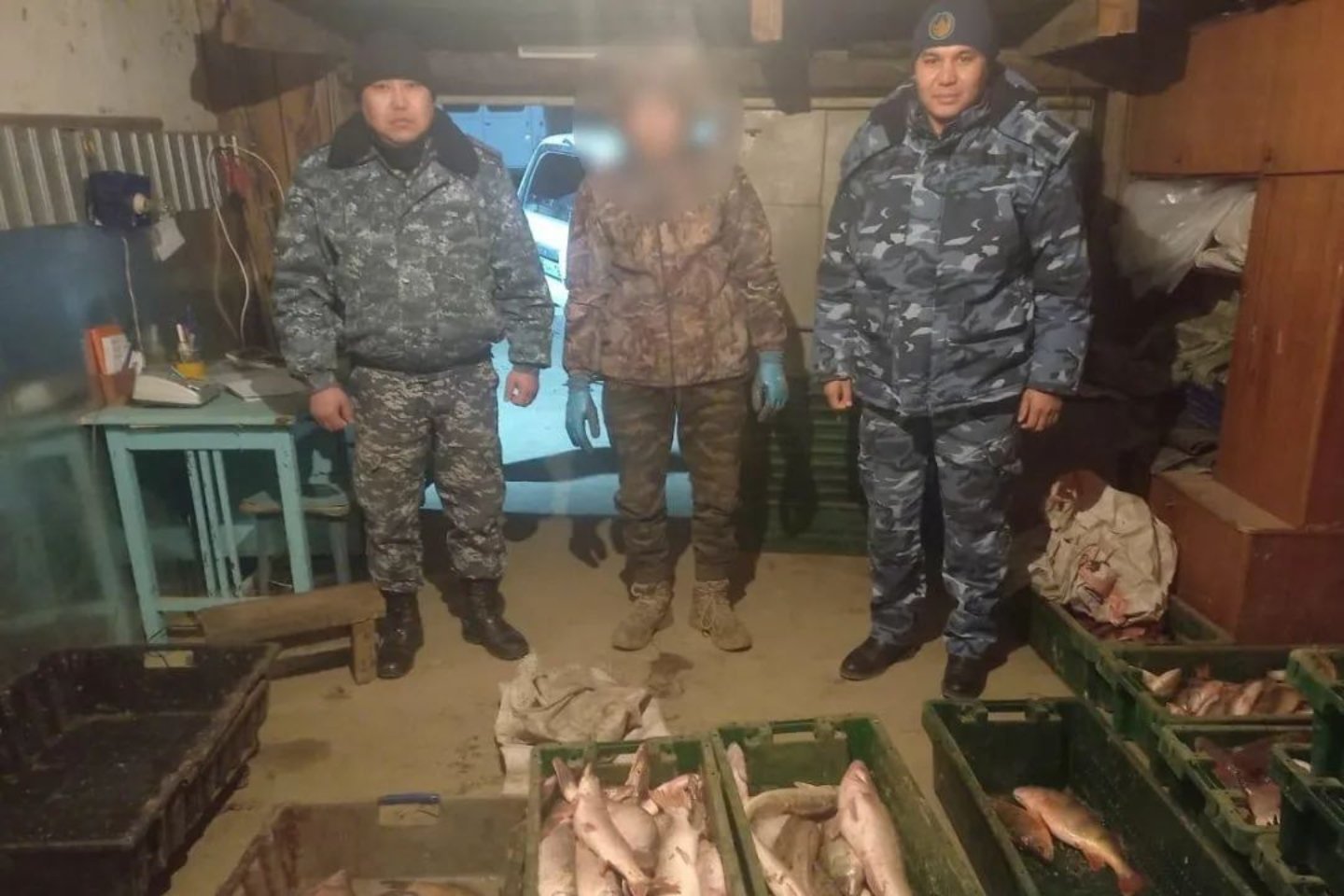 Усть-Каменогорск и ВКО / Житель Курчумского района незаконно выловил сетями более 60 кг рыбы