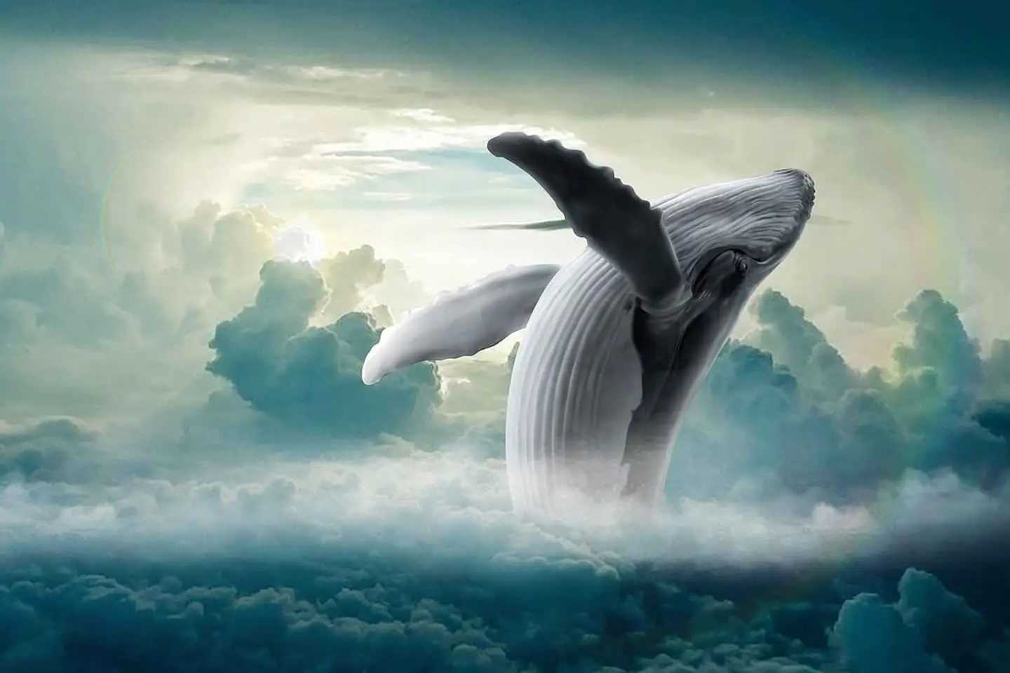 Новости мира / Интересные новости / 19 февраля: сегодня в истории